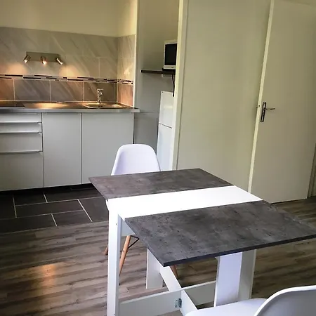 Studio Richelieu 1 Et Son Parking Prive * Βιλερμπάν